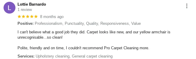 Carpet Cleaners In East sussex Review 7