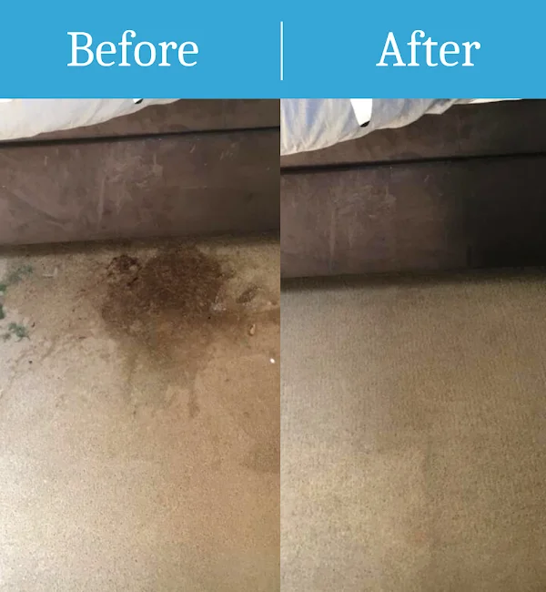Carpet Cleaning Service Berkshire