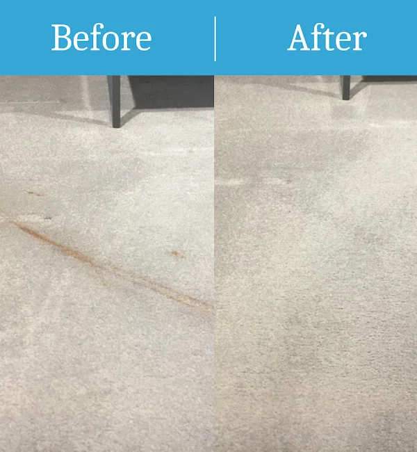 Carpet Cleaning Service East Sussex 1