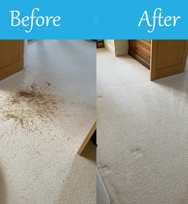 Carpet Cleaning Service Hampshire Before & After 7