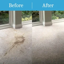 Carpet cleaning Guildford before & after
