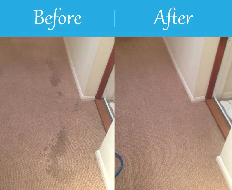 East Sussex Carpet Cleaning Before & After v.2