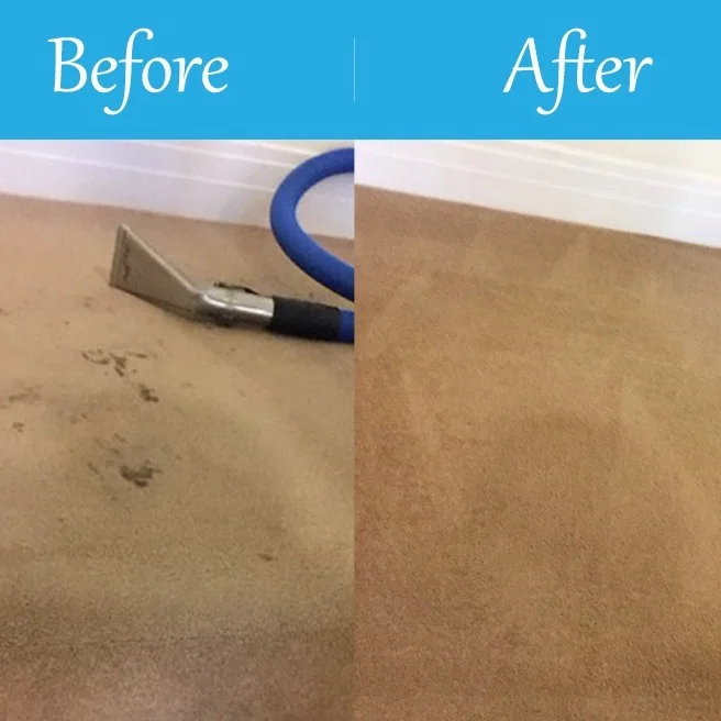 East Sussex Carpet Cleaning Before & After v.3