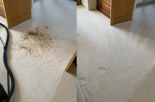 Guildford Carpet Cleaning 2