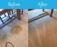 Guildford Carpet Cleaning 3