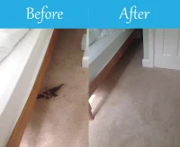 Guildford Carpet Cleaning Before & After v.10