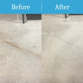 Guildford Carpet Cleaning Before & After v.4