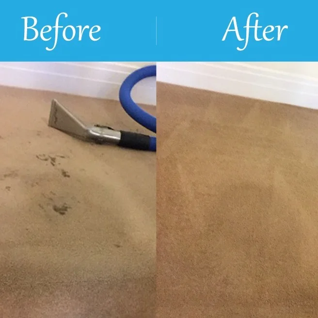 Kent Carpet Cleaning Before & After v.3