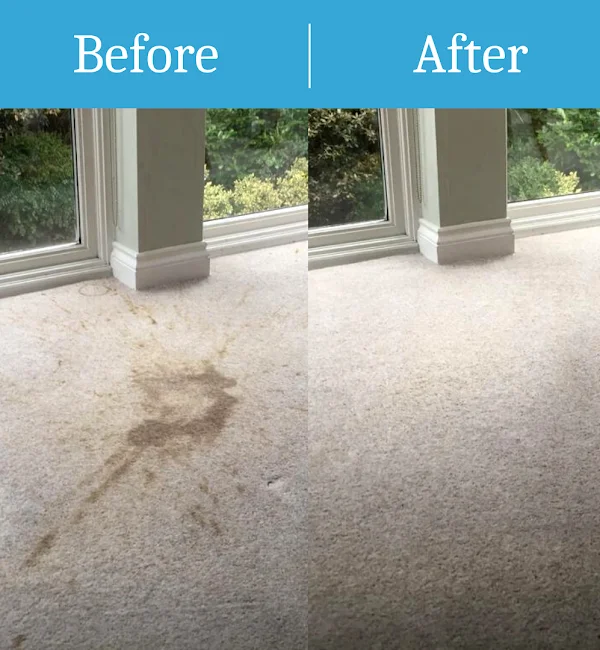 Pro Carpet Cleaning Before & After