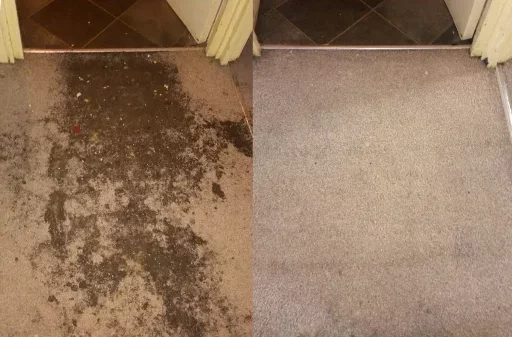 Pro Carpet Cleaning Guildford Before & After v.17