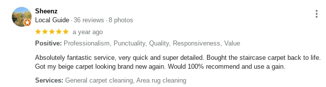 Pro Carpet Cleaning Review v.12