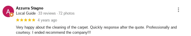 Pro Carpet Cleaning Review v.21