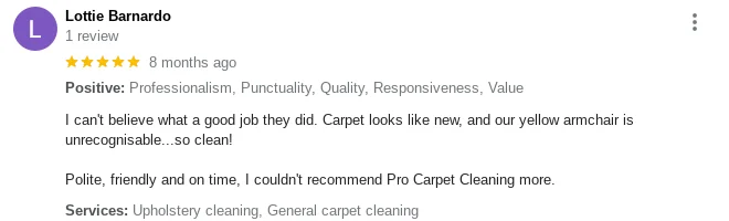 Pro Carpet Cleaning Review v.8