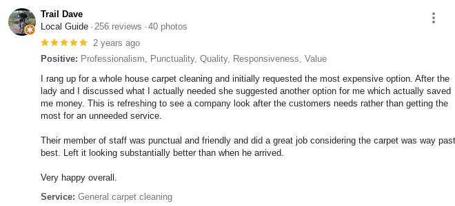 Pro Carpet Cleaning Review v.9