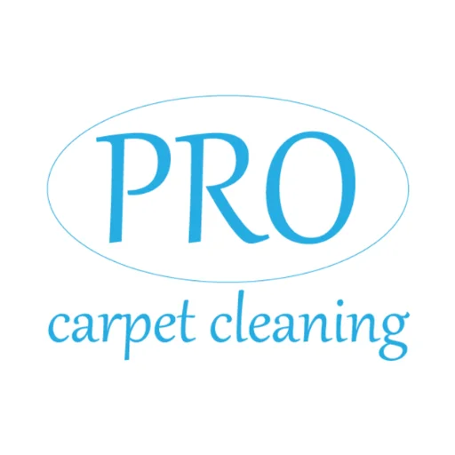 Pro Carpet Cleaning bracknell Logo 300 x 300