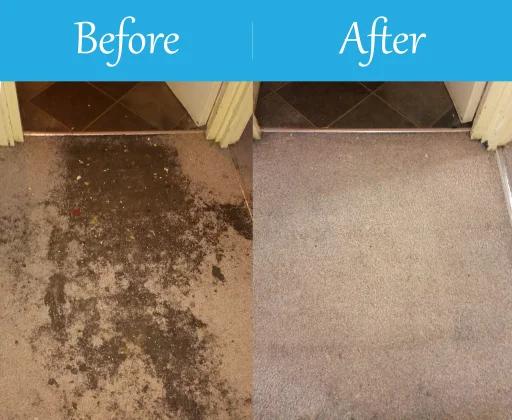 Pro Carpet Cleaning godalming Before & After v.17