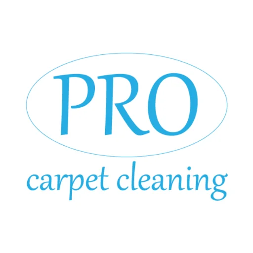 Pro Carpet Cleaning godalming Logo 300 x 300