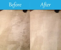 bordon Carpet Cleaning 8