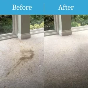 Carpet cleaning bordon before & after