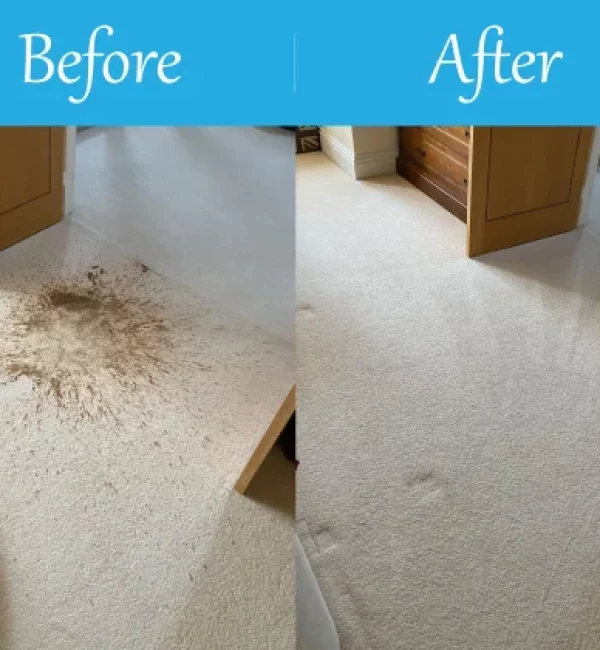 East Sussex Carpet Cleaning 2