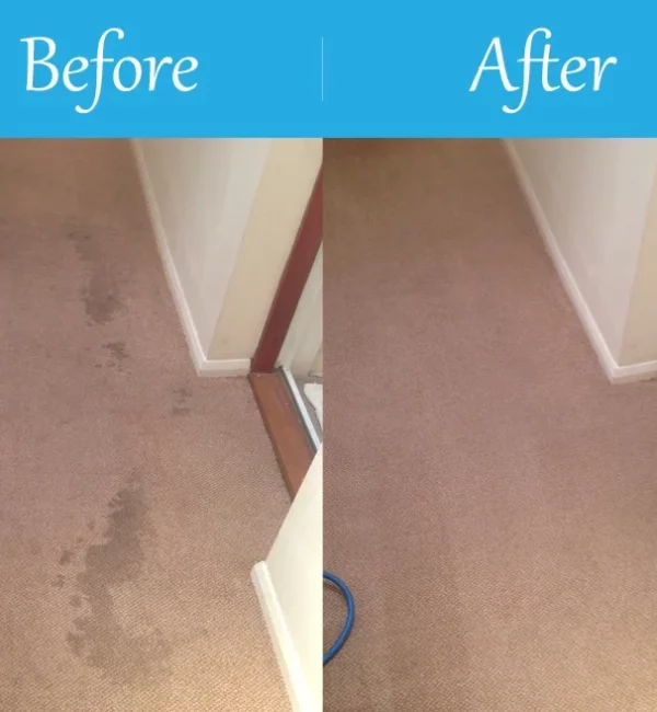 Kent Carpet Cleaning Before & After v.2