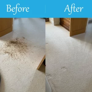 crawley Carpet Cleaning 2