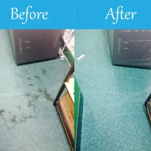 godalming Carpet Cleaning 4